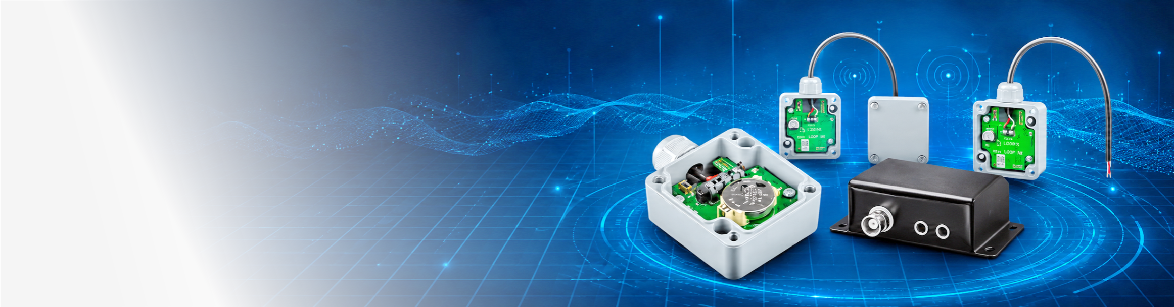 Sensor Netzwerke